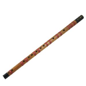 Flute bamboo instrument musique indienne